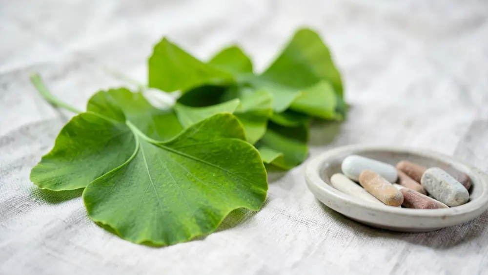 Fresh green ginkgo biloba leaves on pale linen beside tablets in a small ceramic dish Fresh green ginkgo biloba leaves on pale linen beside tablets in a small ceramic dish