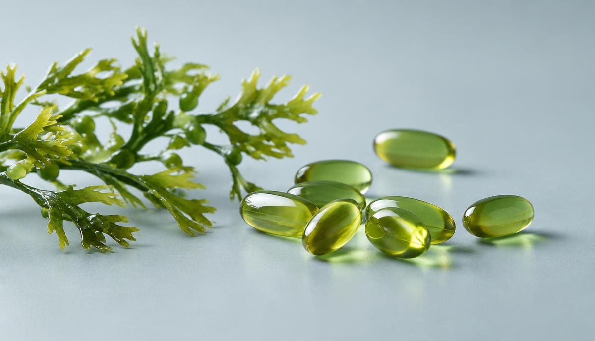 DoseRoutine DHA Algae Oil Green-tinted algae oil softgels on a pale surface