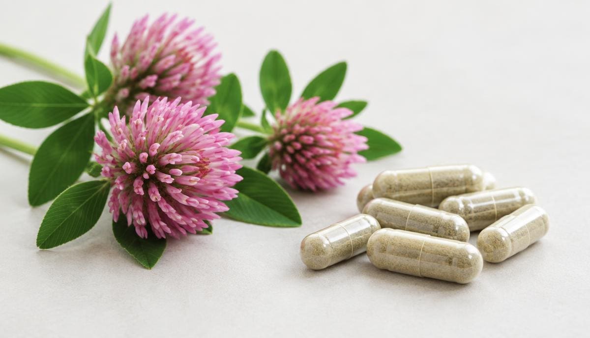 DoseRoutine Red Clover Pink red clover blossoms beside herbal capsules